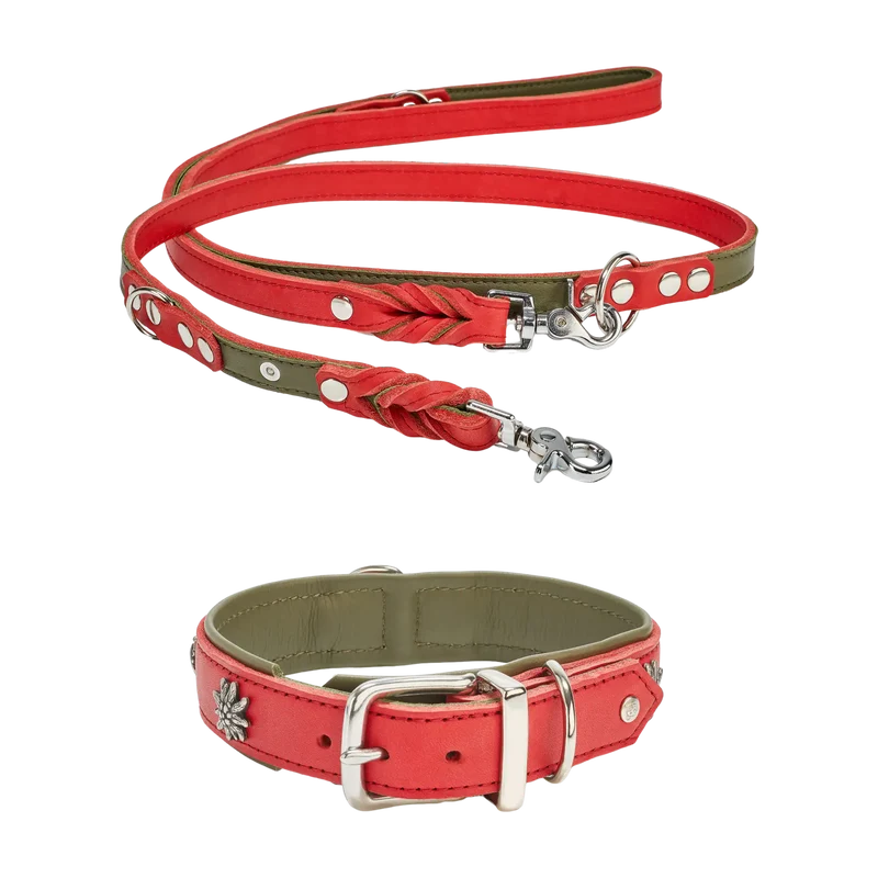 Edelweiss Set