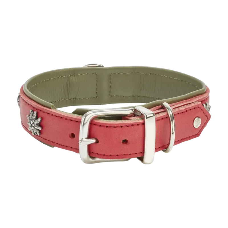 Edelweiss Halsband