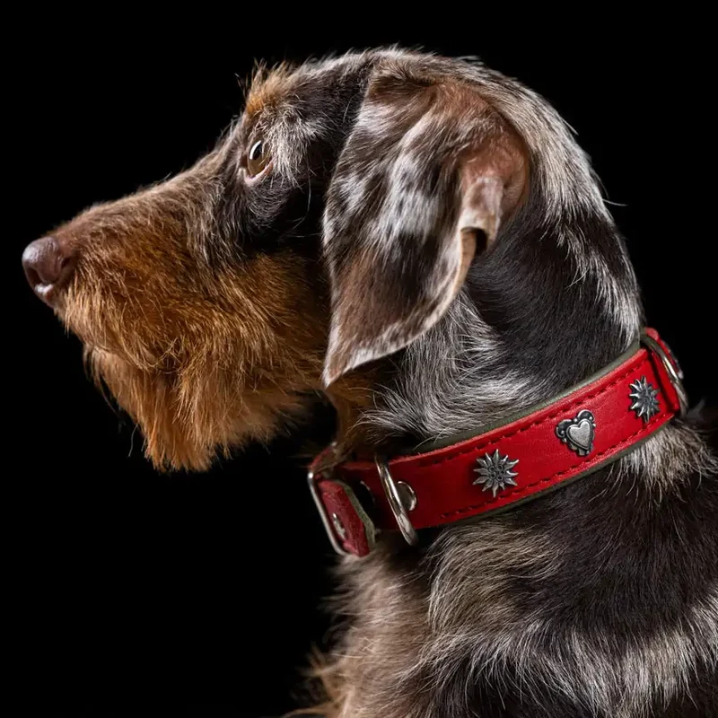 Edelweiss Halsband