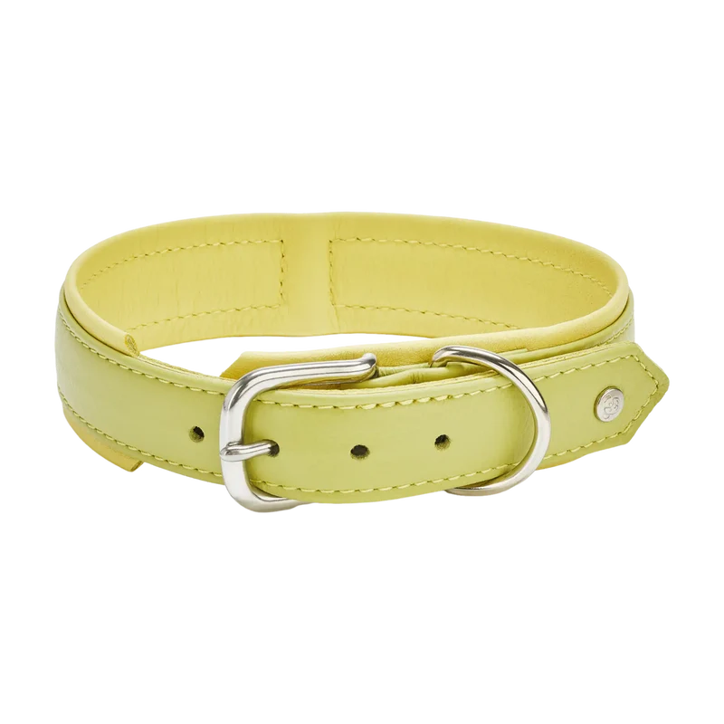Amici Nappa Halsband