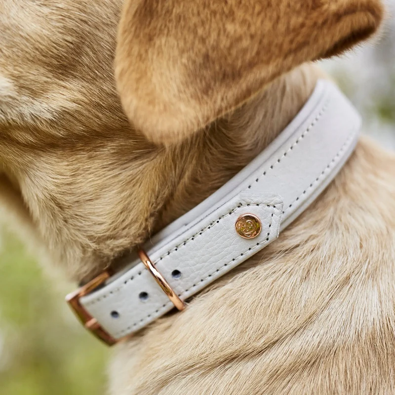 Amici Nappa Halsband