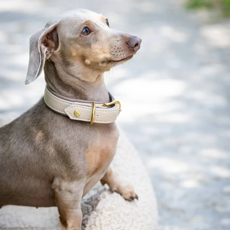 Amici Nappa Halsband