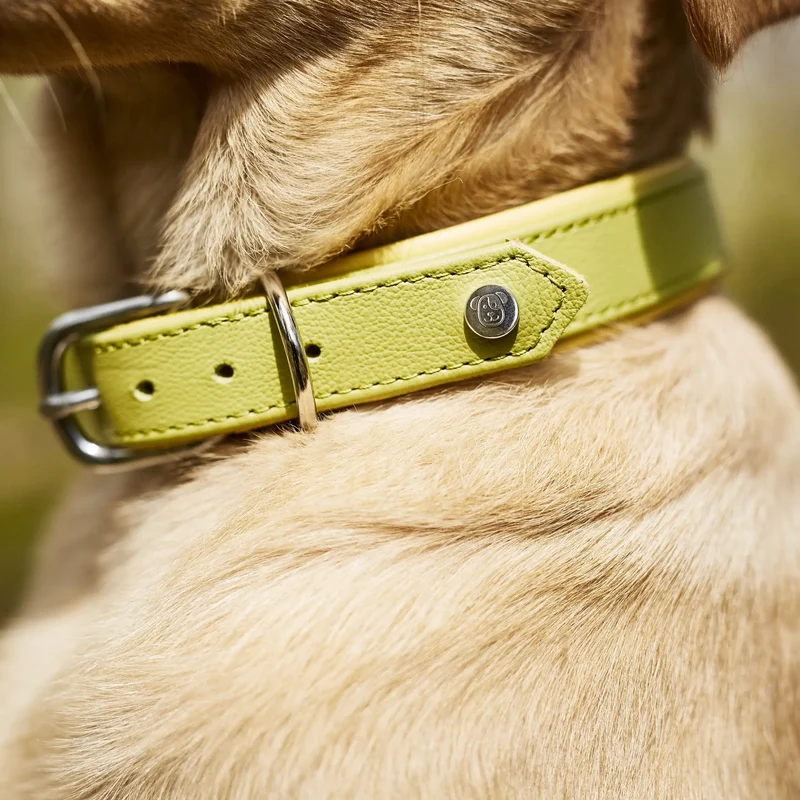Amici Nappa Halsband