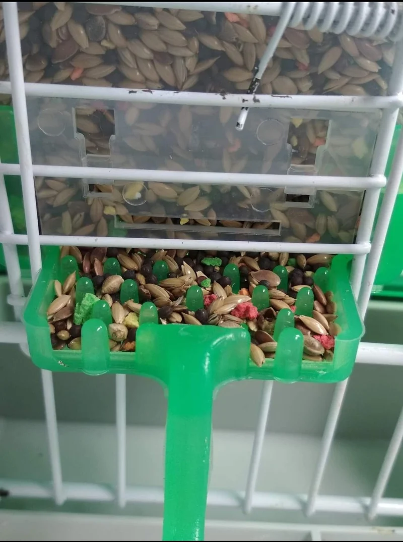Carla Futternapf „Anti-Waste“ GRÜN 125 Gramm