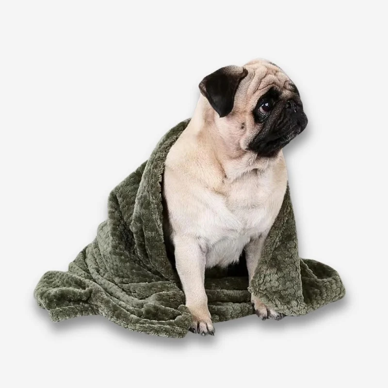 Hundedecke „SoftCloud“ – HUNDESCHATZ™