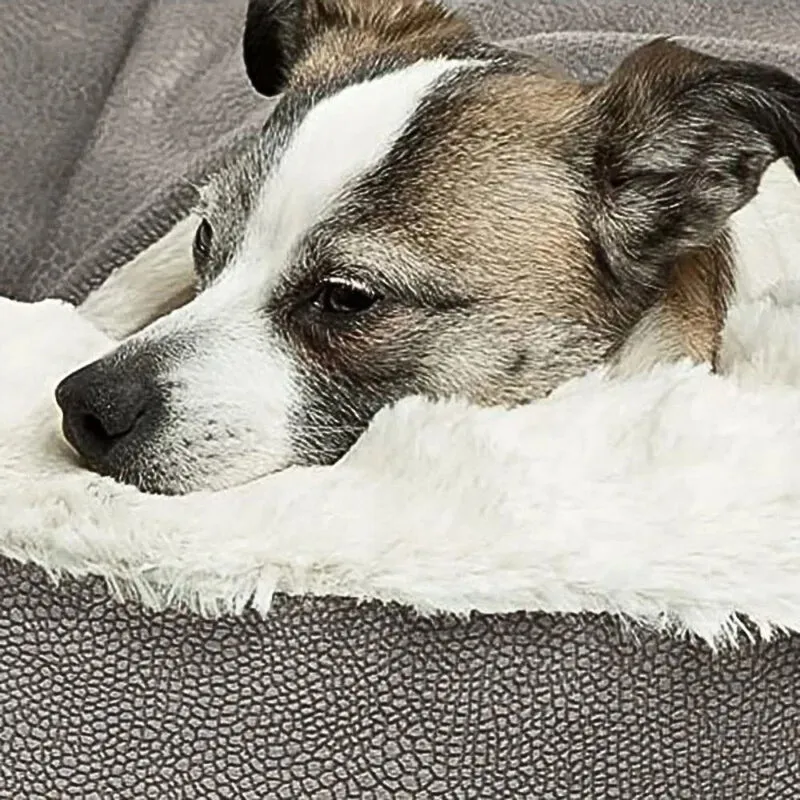 Hundehöhle „CalmCave“ – HUNDESCHATZ™