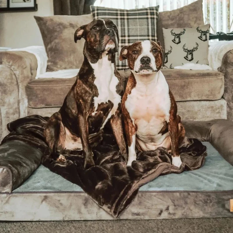 Orthopädisches Hundebett „Elegance“ - HUNDESCHATZ™