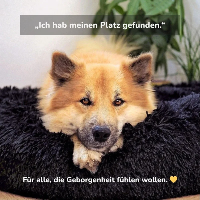 Hundekörbchen „Wolke 7“ – HUNDESCHATZ™