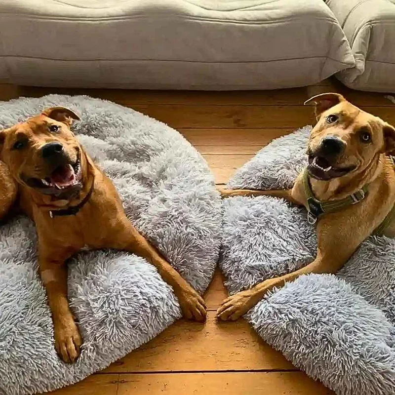 Hundekörbchen „Wolke 7“ – HUNDESCHATZ™