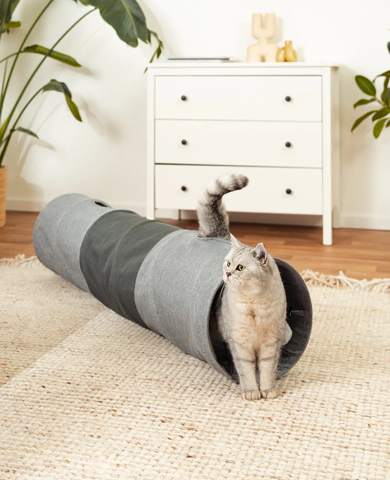 Katzentunnel mit Spielball
