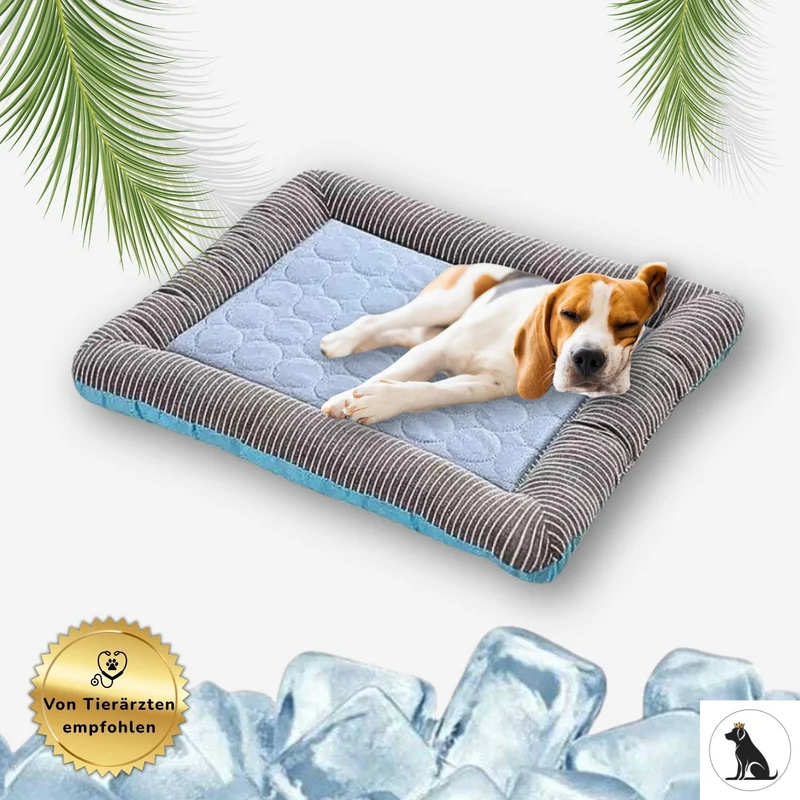 Premium Kühlmatte für Hunde „AirCool“ – HUNDESCHATZ™