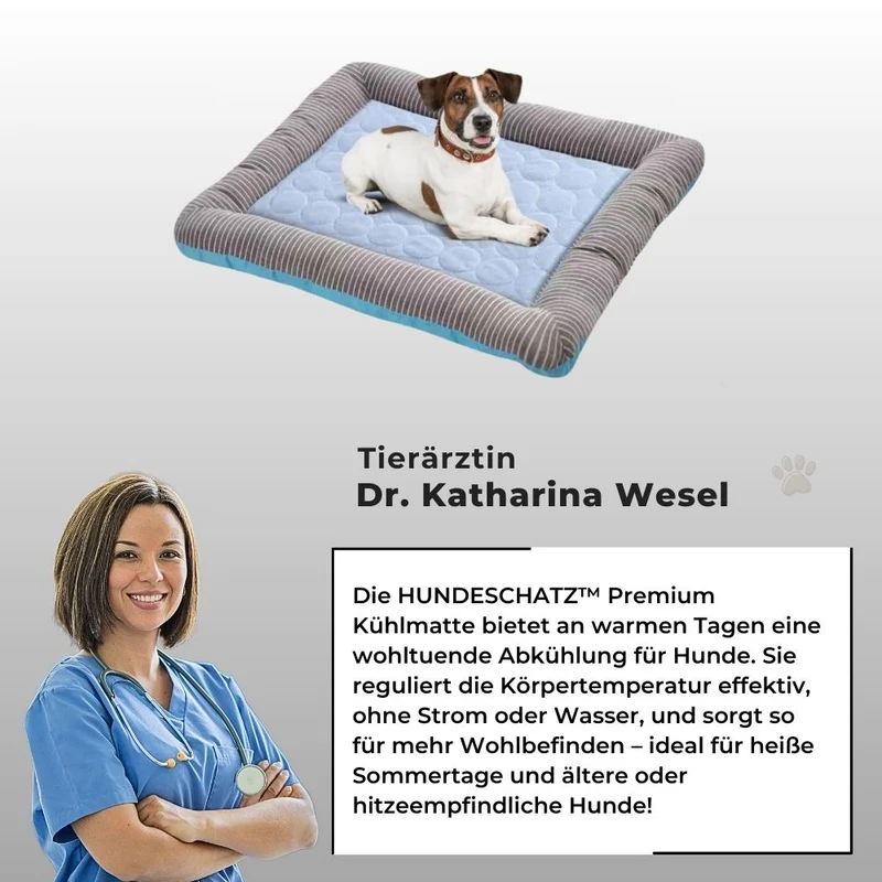 Premium Kühlmatte für Hunde „AirCool“ – HUNDESCHATZ™