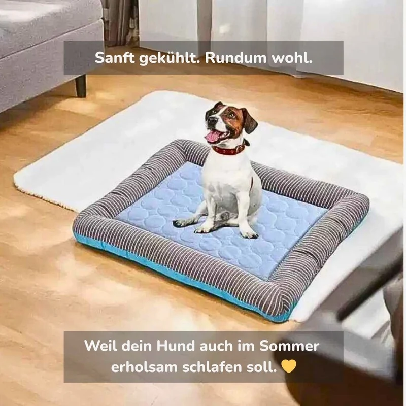 Premium Kühlmatte für Hunde „AirCool“ – HUNDESCHATZ™