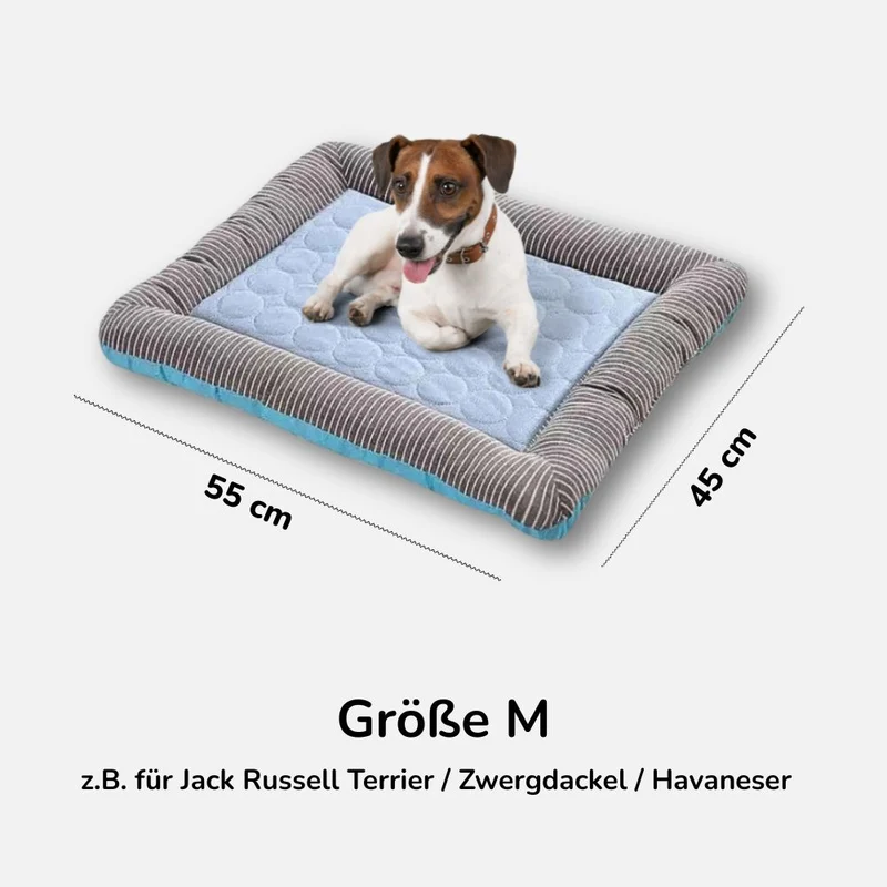 Premium Kühlmatte für Hunde „AirCool“ – HUNDESCHATZ™