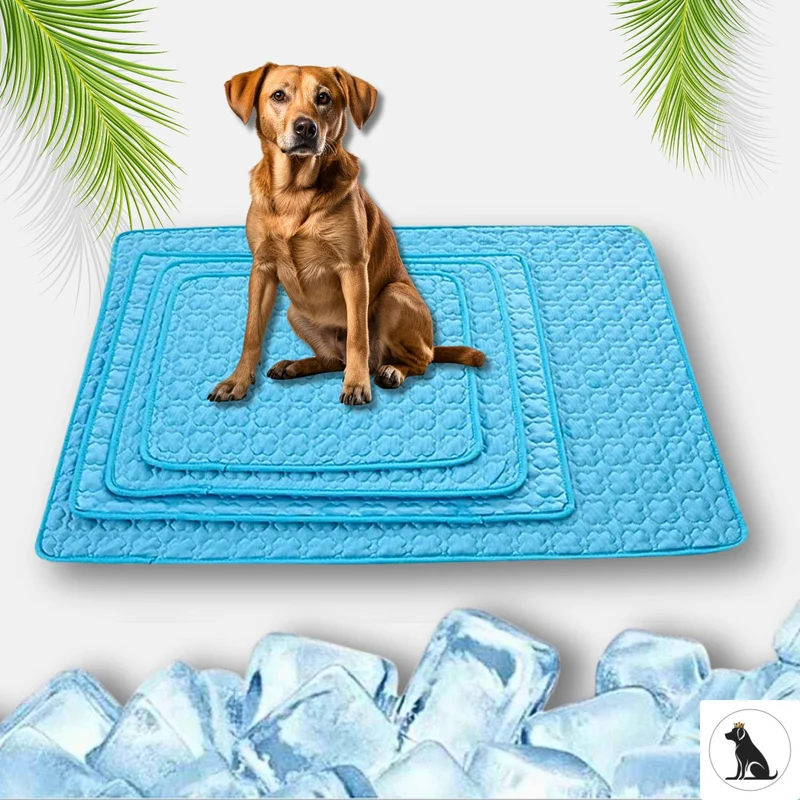 Kühlmatte „DogCool® V2“ – HUNDESCHATZ™