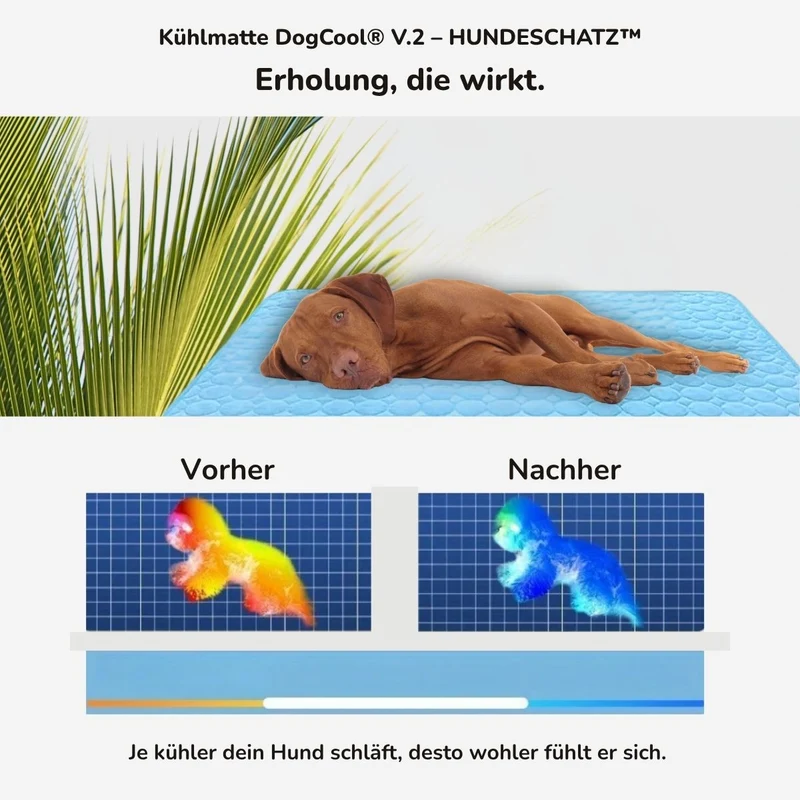 Kühlmatte „DogCool® V2“ – HUNDESCHATZ™