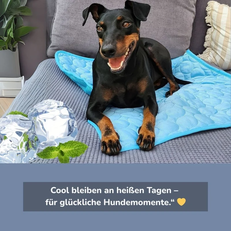 Kühlmatte „DogCool® V2“ – HUNDESCHATZ™