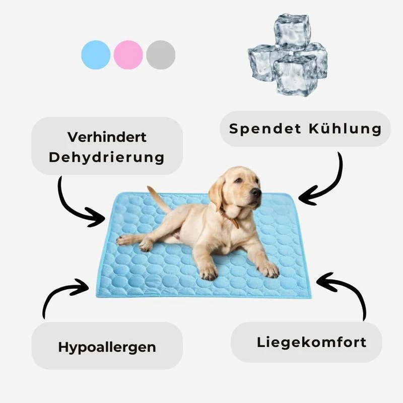 Kühlmatte „DogCool® V2“ – HUNDESCHATZ™