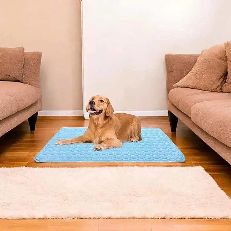 Kühlmatte „DogCool® V2“ – HUNDESCHATZ™