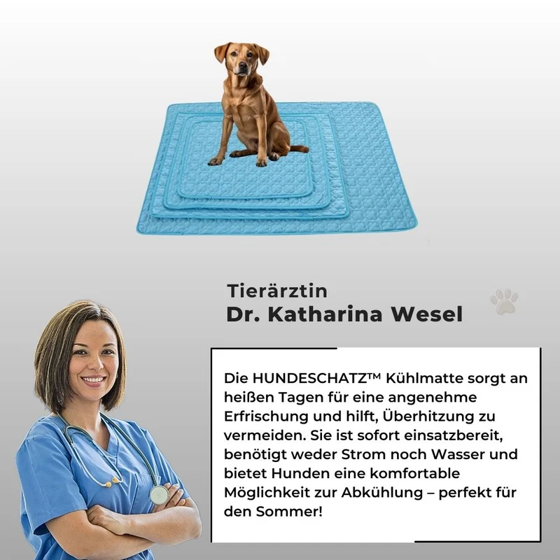 Kühlmatte „DogCool® V2“ – HUNDESCHATZ™