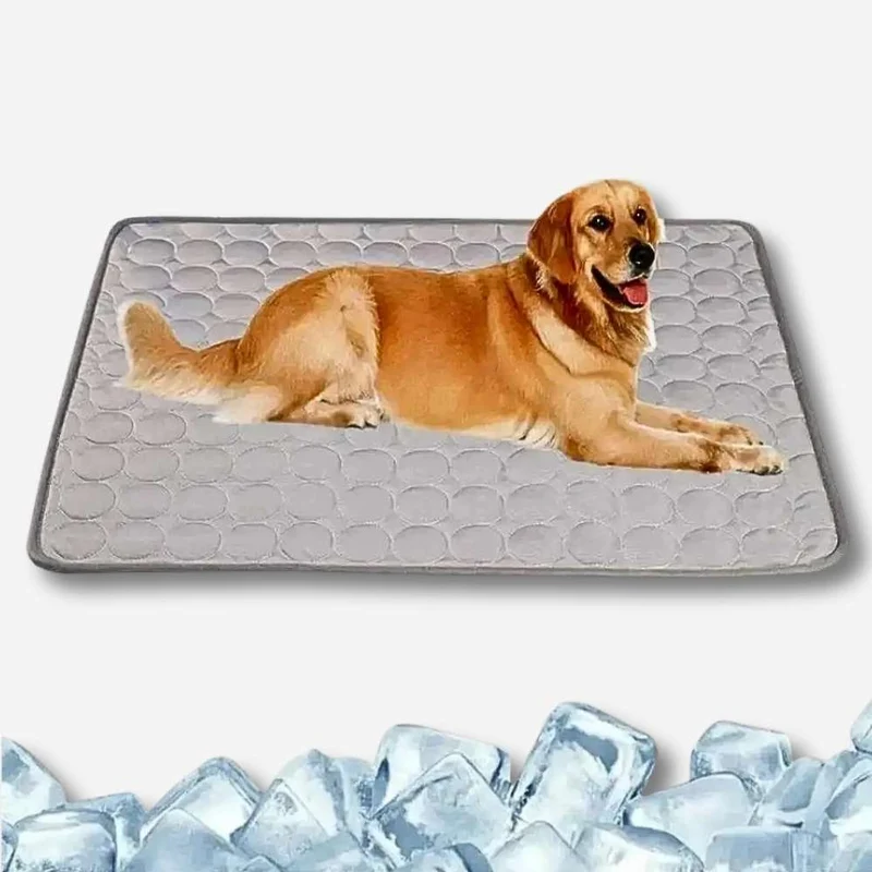 Kühlmatte „DogCool® V2“ – HUNDESCHATZ™