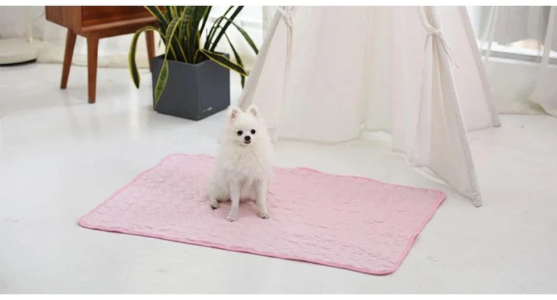 Kühlmatte „DogCool® V2“ – HUNDESCHATZ™