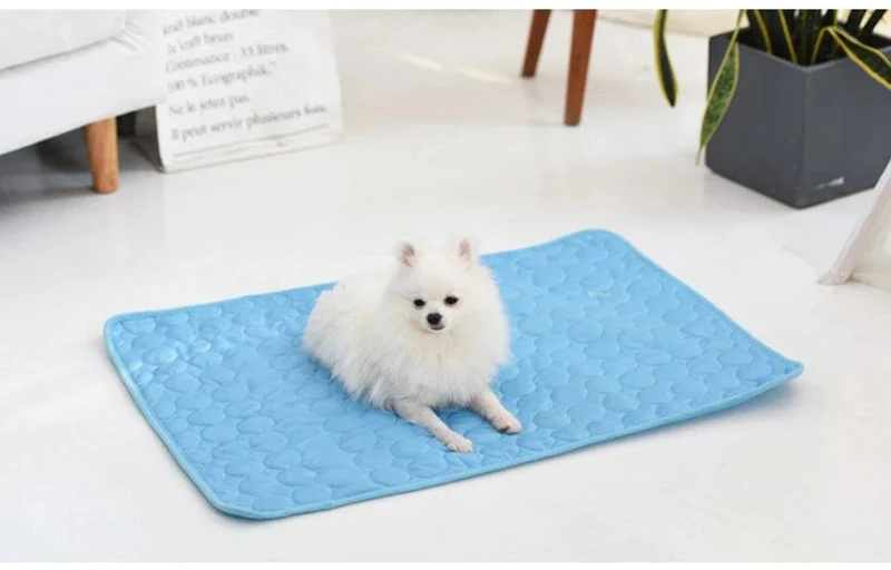 Kühlmatte „DogCool® V2“ – HUNDESCHATZ™