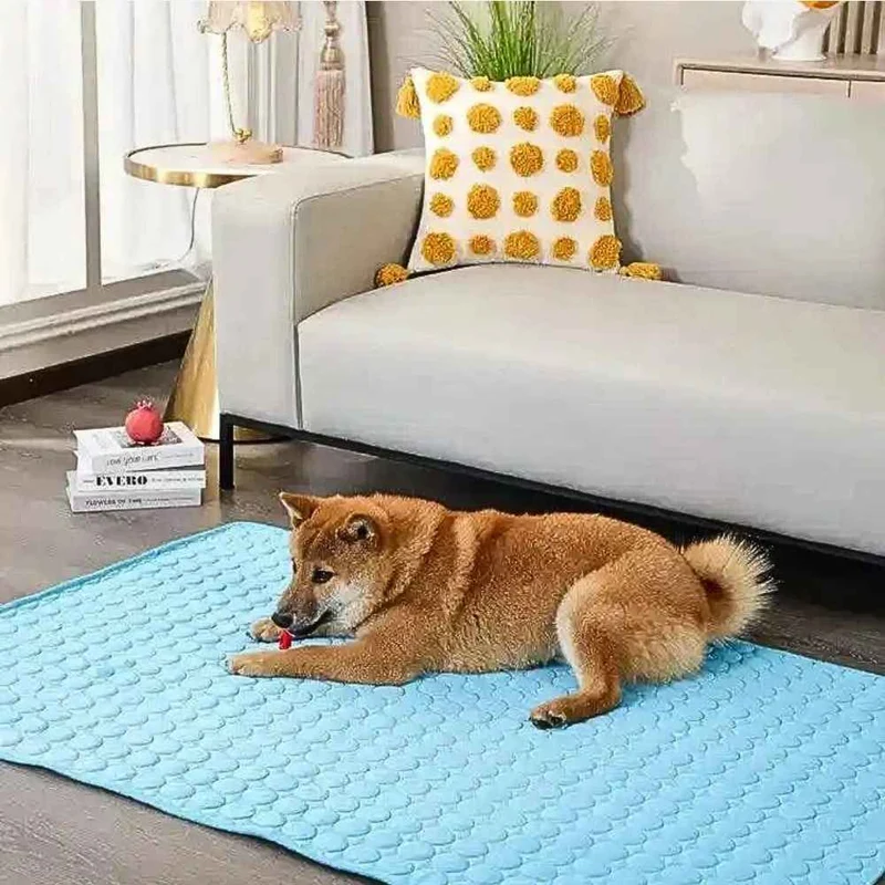Kühlmatte „DogCool® V2“ – HUNDESCHATZ™