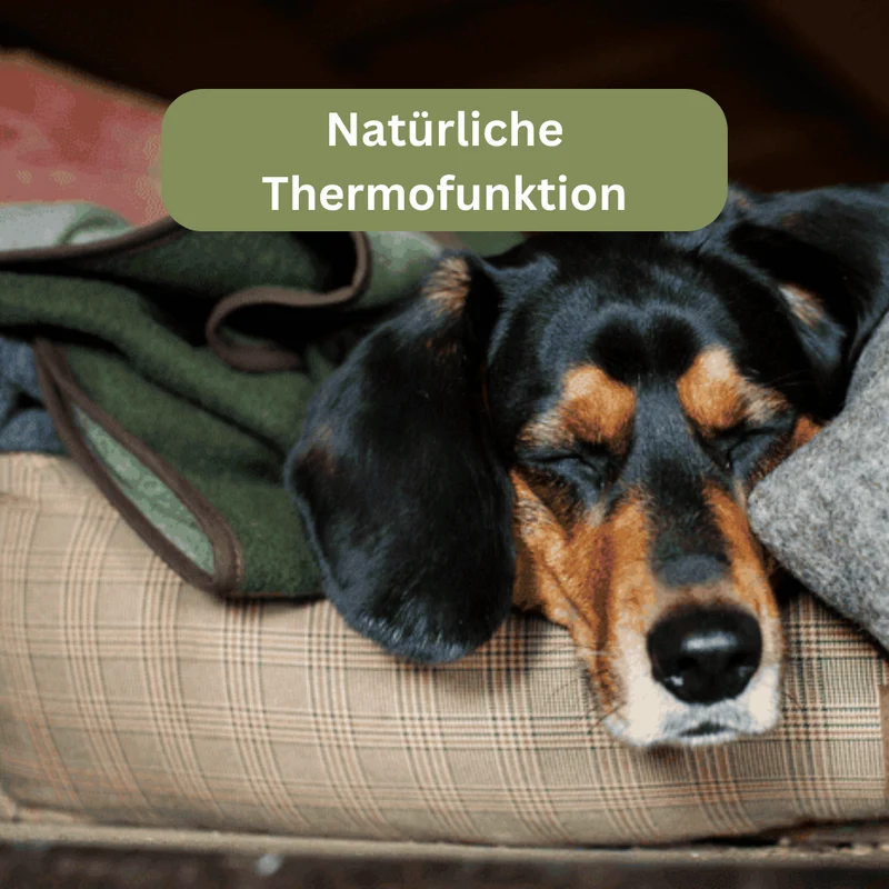 Hundedecke - Jagddeckerl Loden