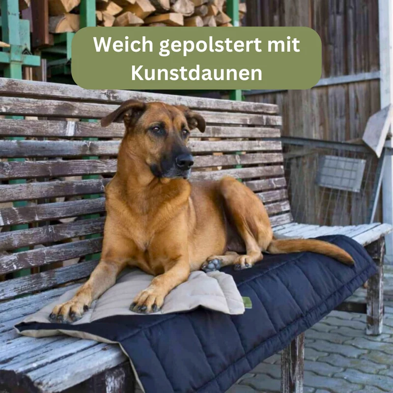 Hundedecke - Organic 95