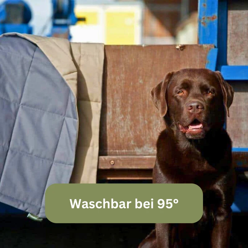 Hundedecke - Organic 95