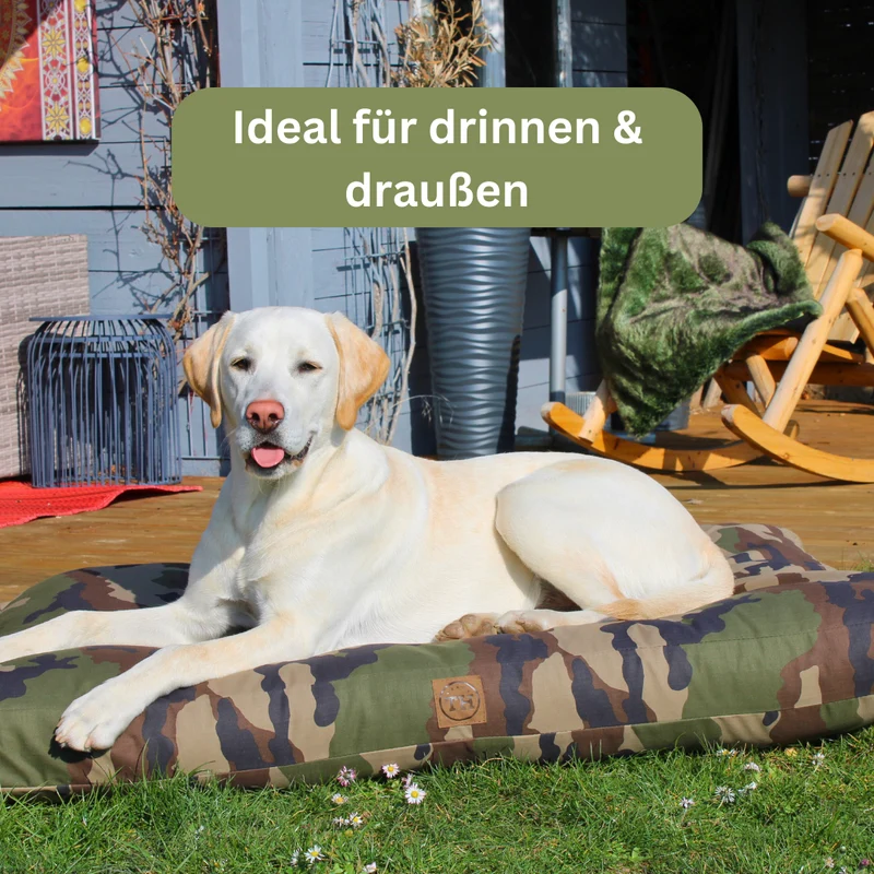 Bezug - Adventure für Hundekissen von Traumhund®