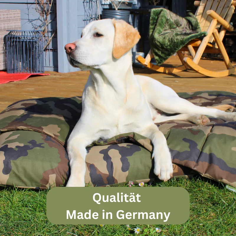 Bezug - Adventure für Hundekissen von Traumhund®