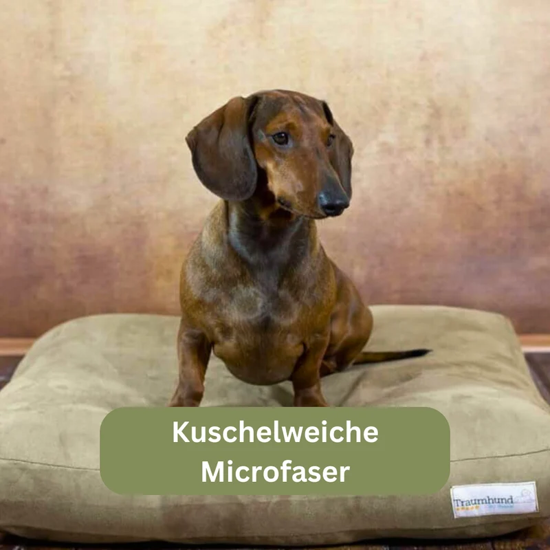 Orthopädisches Hundekissen - Classic