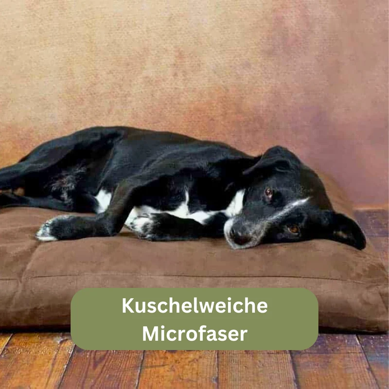 Orthopädisches Hundekissen - Classic