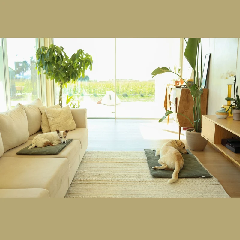 Hunde- Katzendecke mit Biocrystal® - Technologie