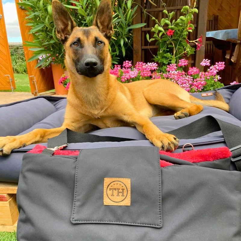 Outdoordecke & Tasche (2 in 1)