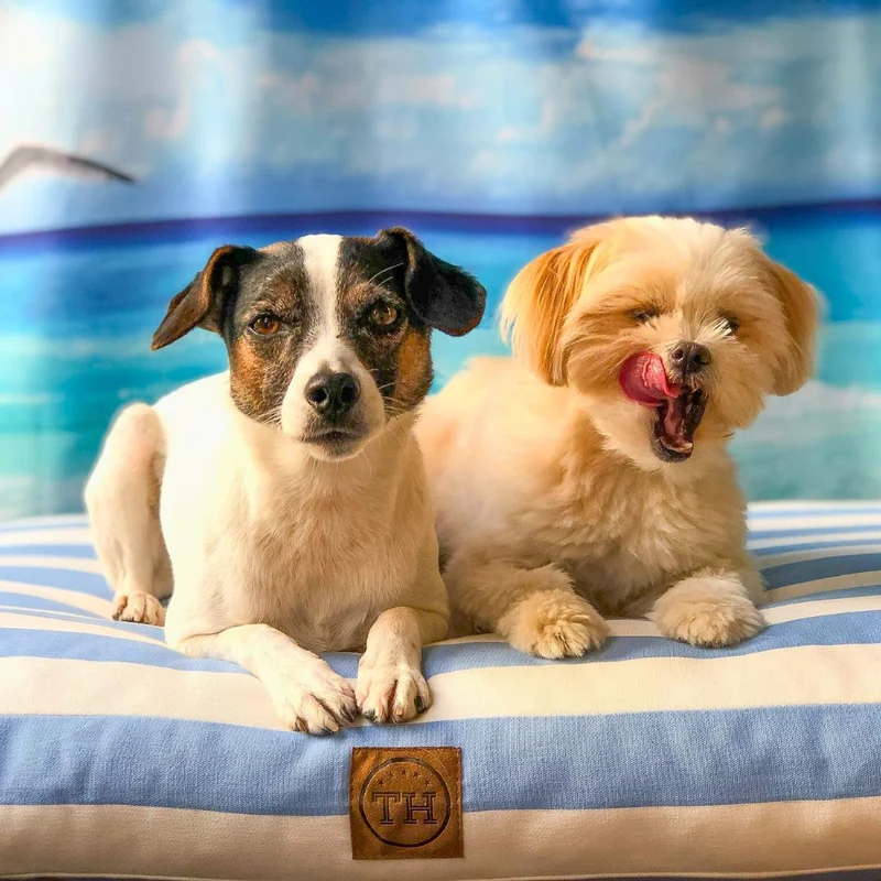 Orthopädisches Hundekissen - Sylt