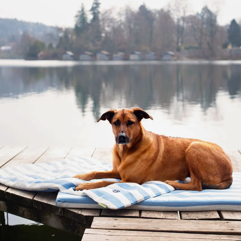 Orthopädische Hundematte - Sylt