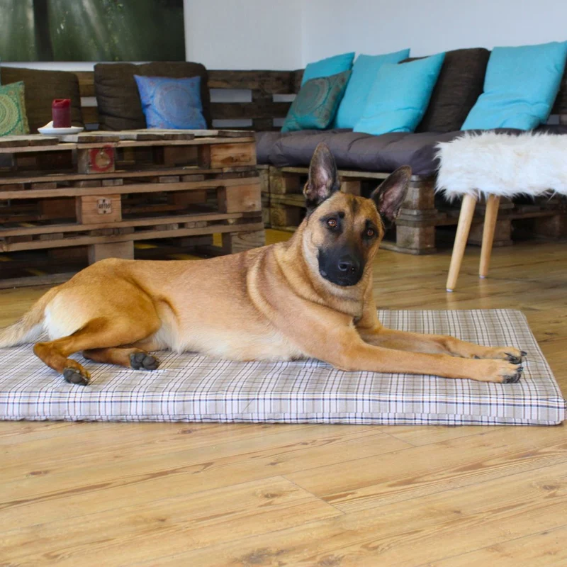Orthopädische Hundematte - Cottage