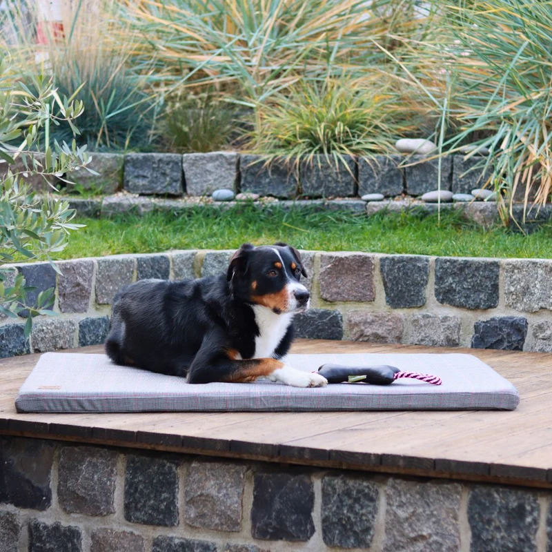 Orthopädische Hundematte - Cottage