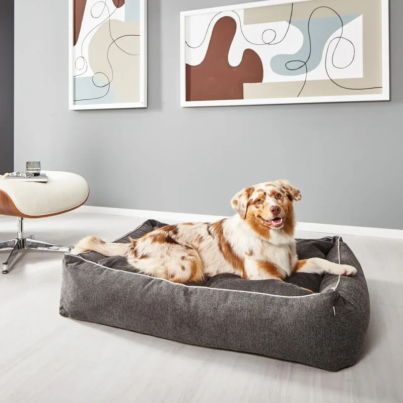 Ortho Bett Eco