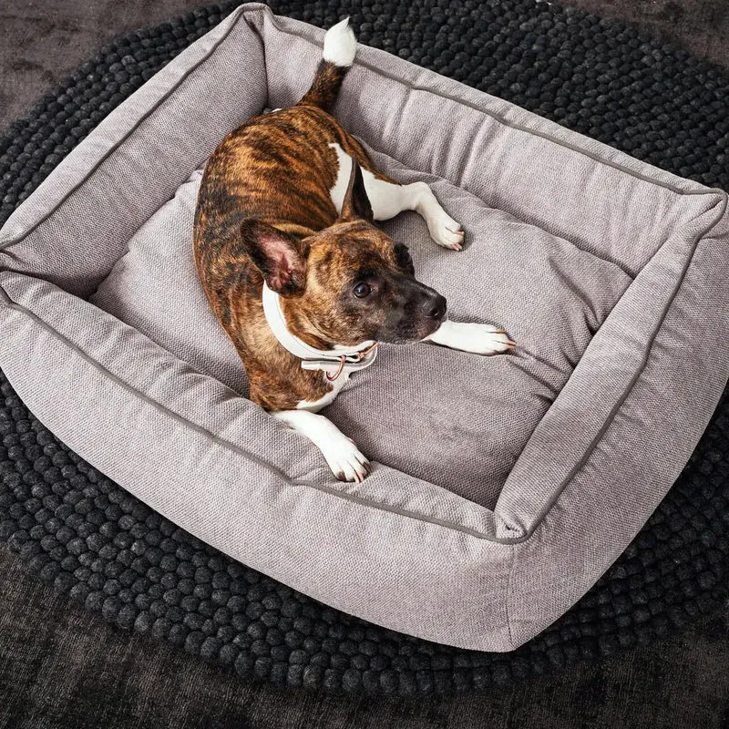 Ortho Bett Eco