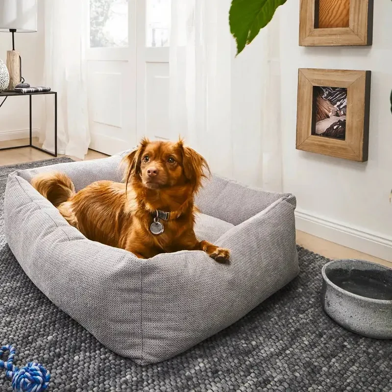 Ortho Bett Tudor