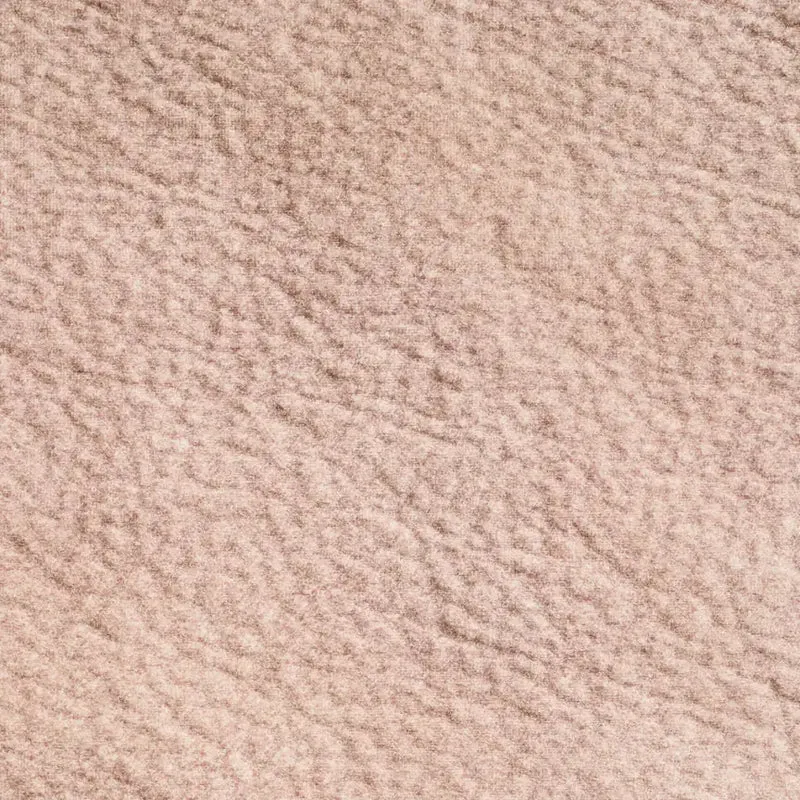 Ortho Bett Buffalo