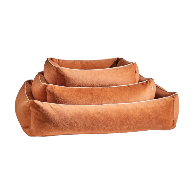 Ortho Bett Buffalo