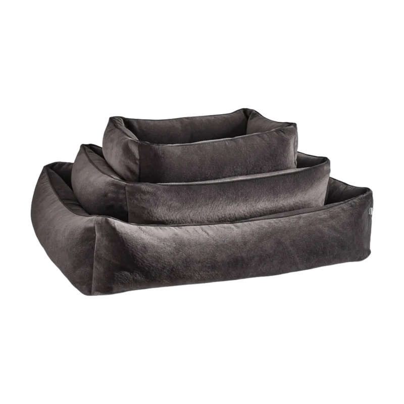 Ortho Bett Buffalo