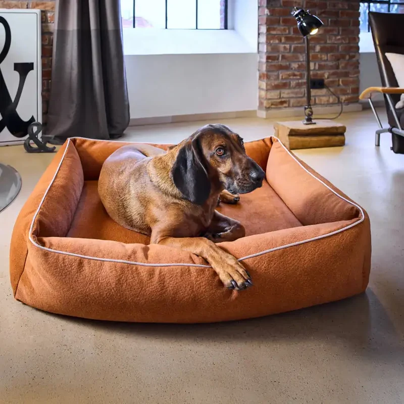 Ortho Bett Buffalo