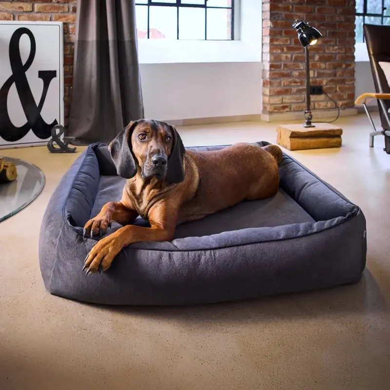 Ortho Bett Buffalo
