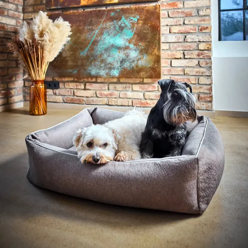 Ortho Bett Buffalo